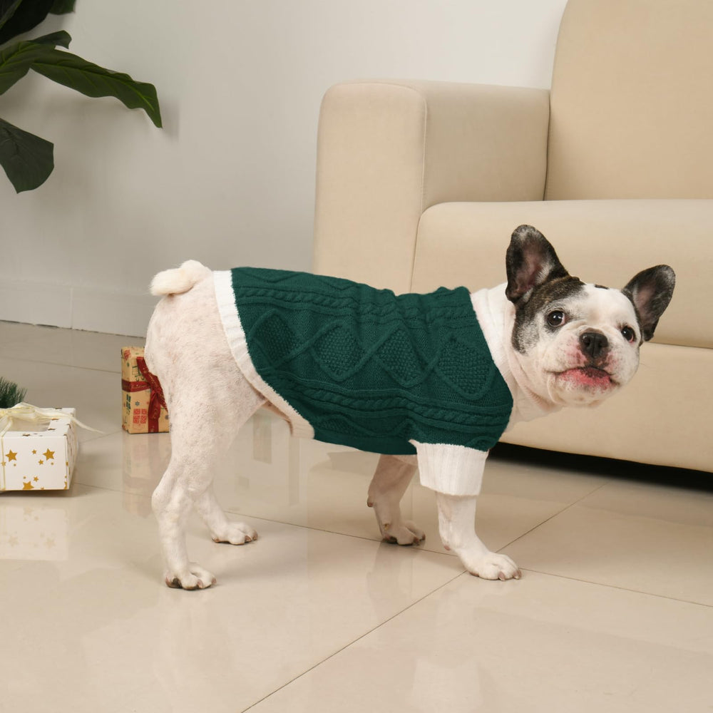 Lorehelina seasonal green sweater ideal for winter walks and holiday photos