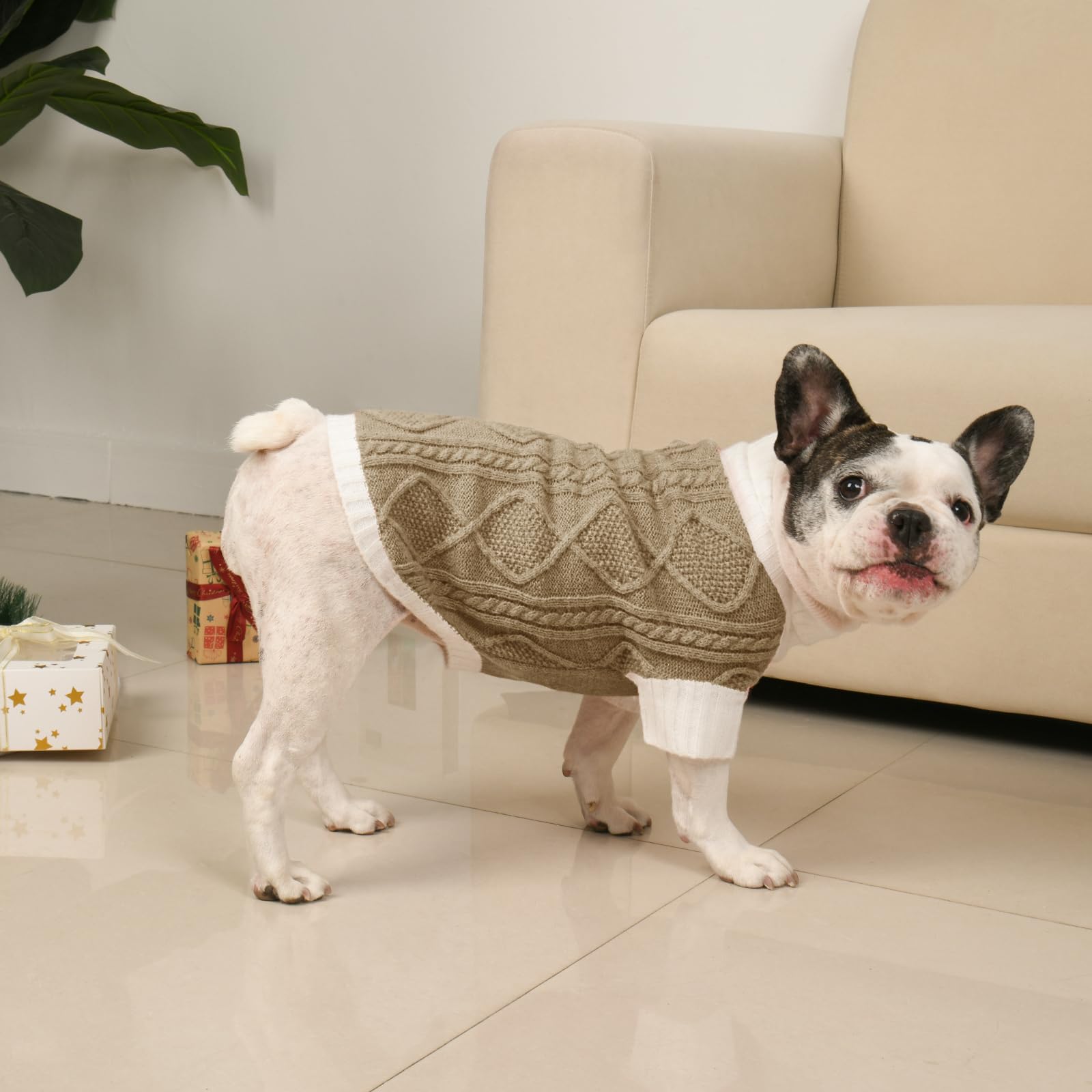 Lorehelina holiday-ready sweater supports seasonal photos and festive dog fashion moments