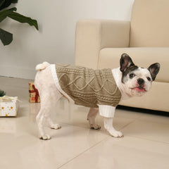 Lorehelina holiday-ready sweater supports seasonal photos and festive dog fashion moments