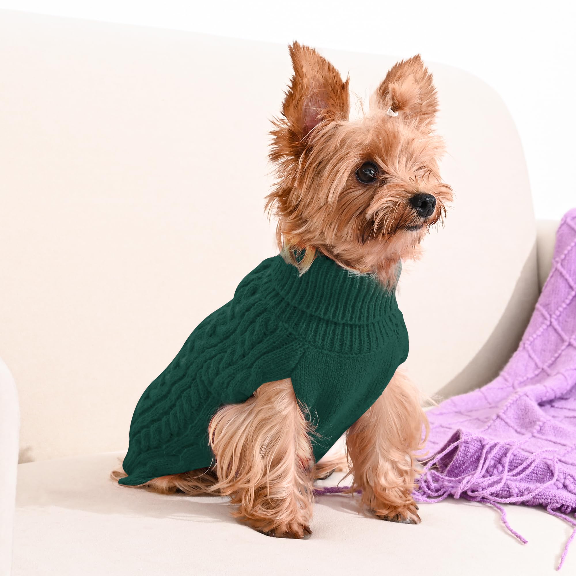 Lorehelina dog sweater size guide image helps choose the right fit.