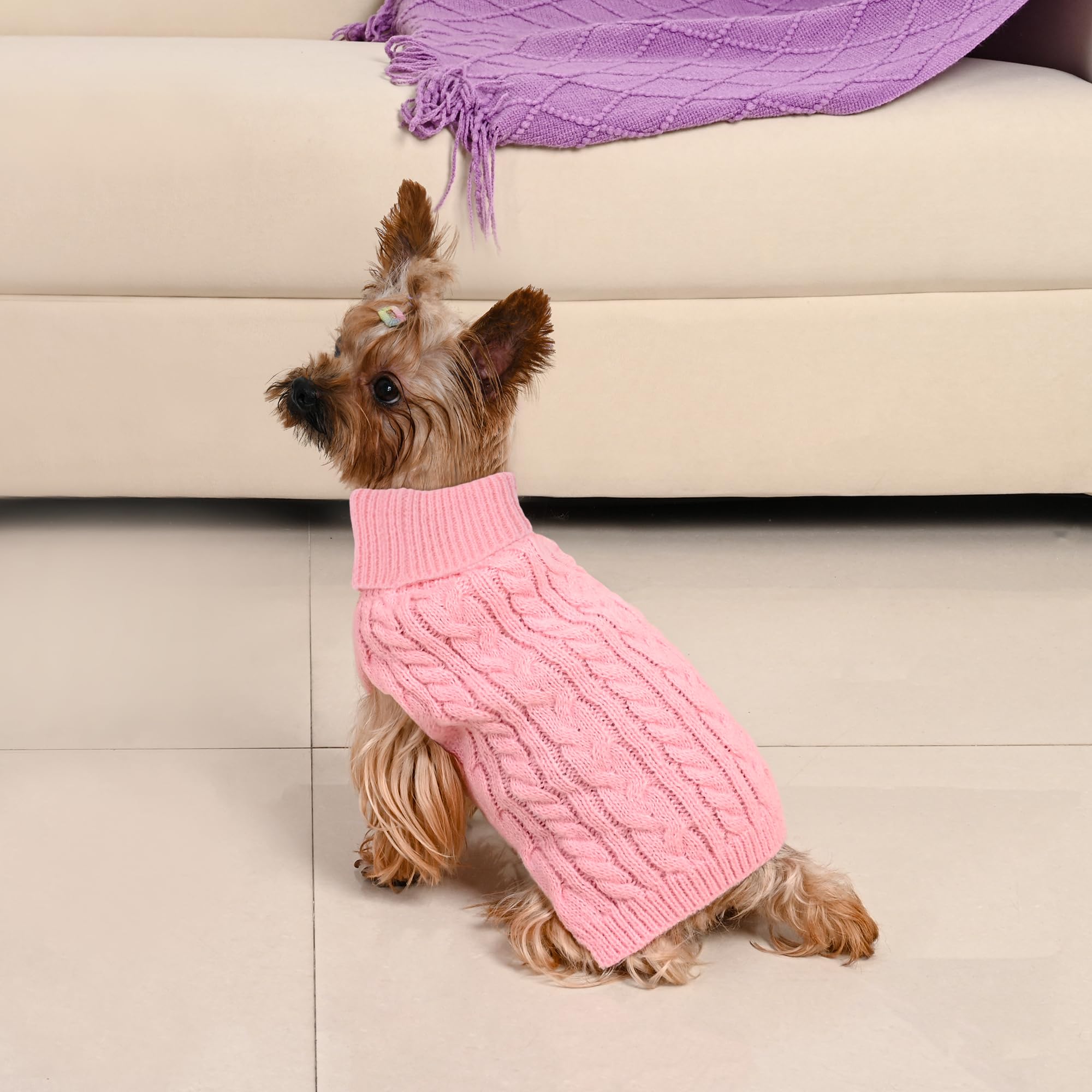 Lorehelina dog sweater on dog lounging, doubles as sleepwear with soft knit.