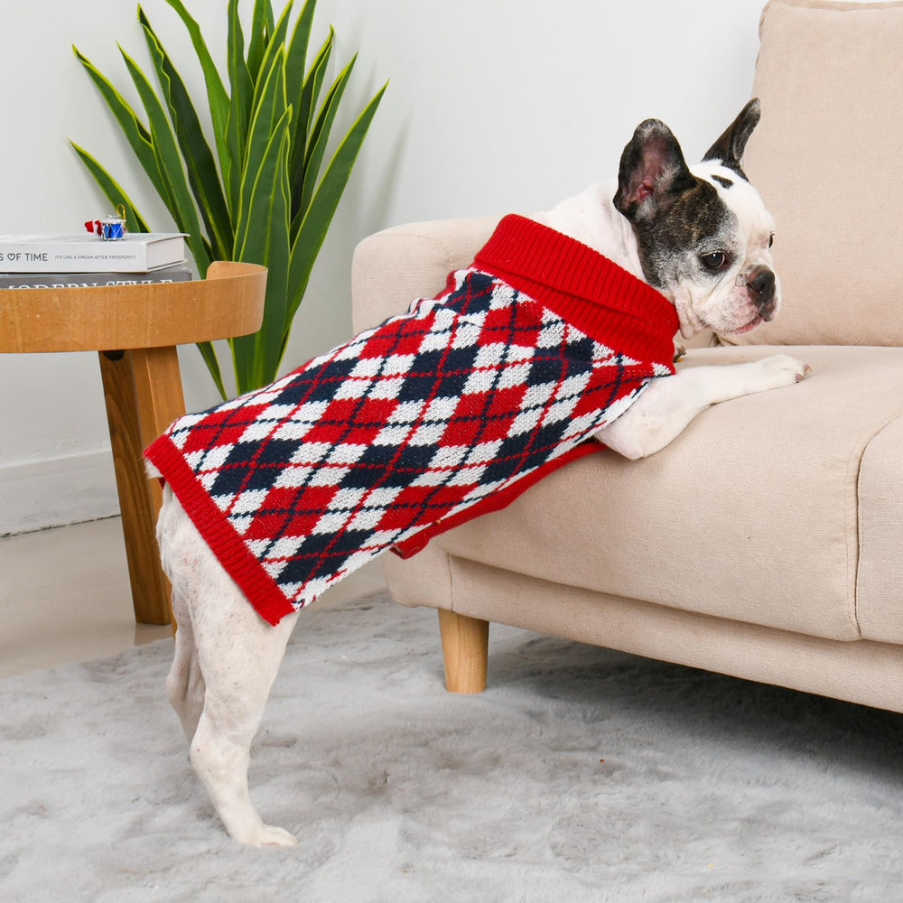 Lorehelina dog sweater stretchy-knit fabric demonstrates freedom of movement