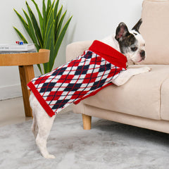 Lorehelina dog sweater stretchy-knit fabric demonstrates freedom of movement