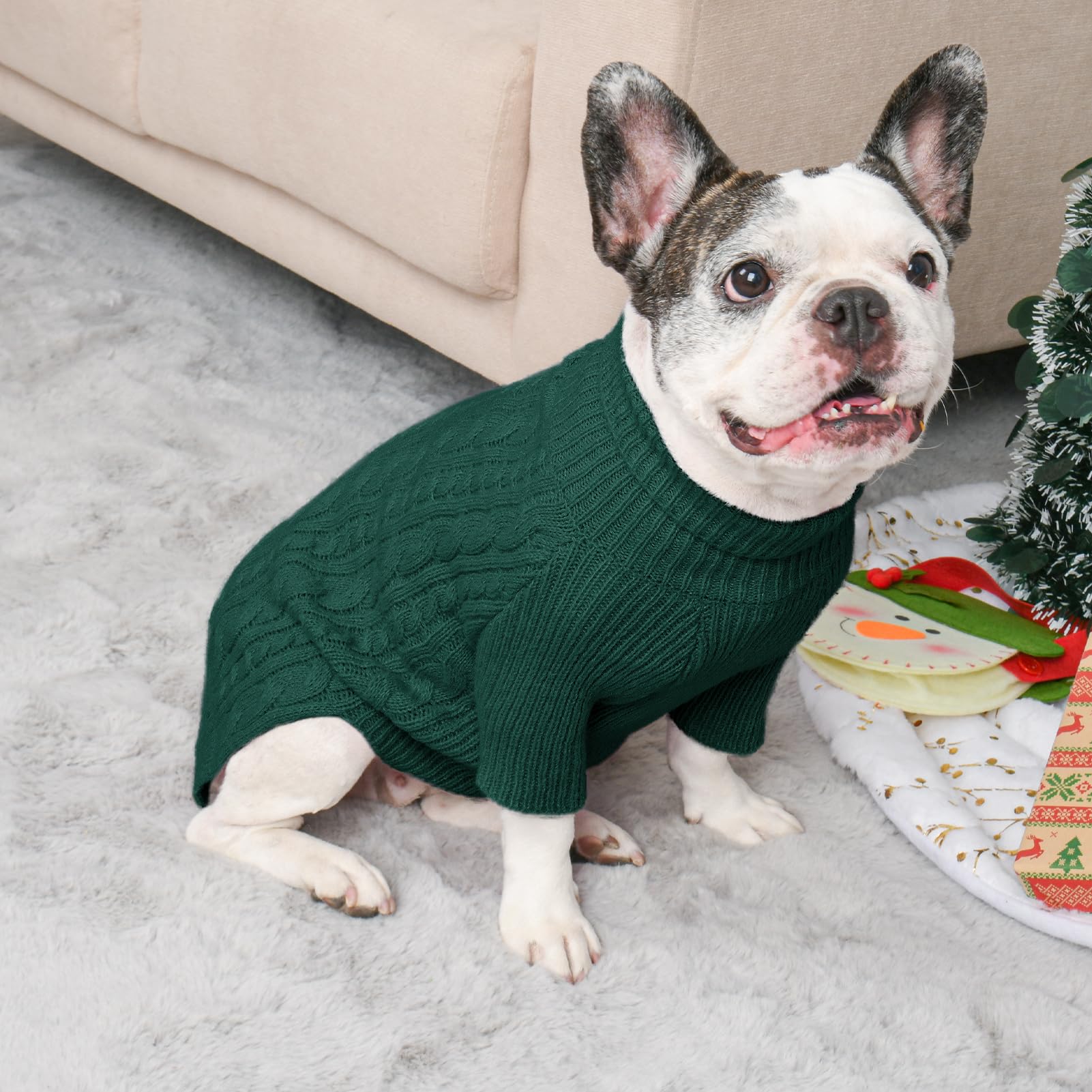 Lorehelina green sweater on dog ready for winter festivities.