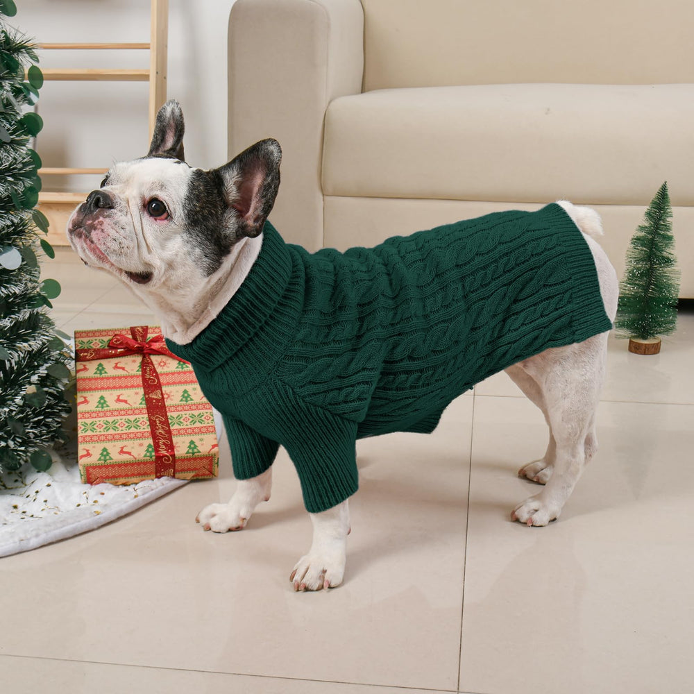 Lorehelina on-dog image demonstrates holiday-ready green sweater.