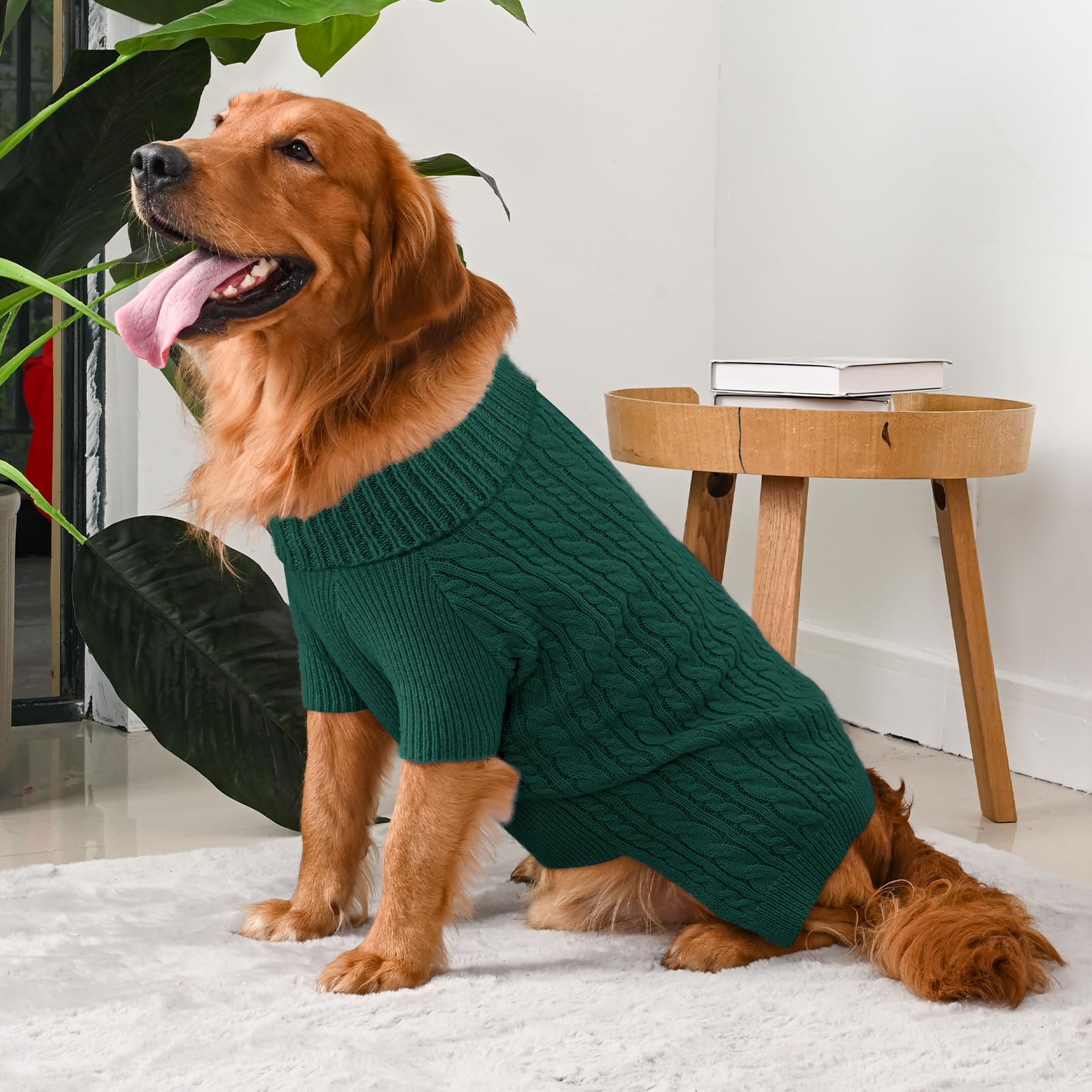 Lorehelina dog sweater green washability emphasizes easy care after messy outdoor adventures