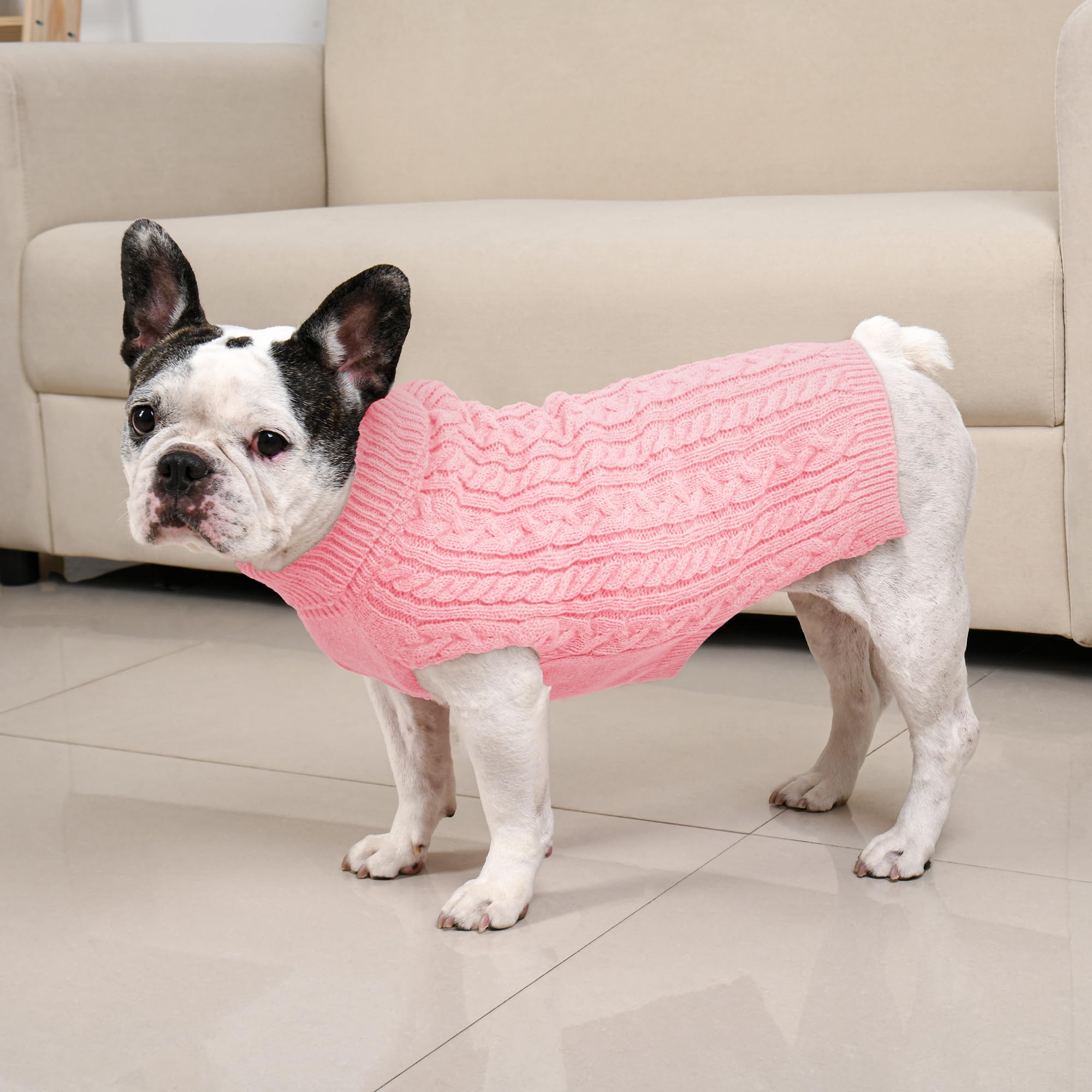 Lorehelina two-pack dog sweaters on model, ideal for holiday outfits and photos.