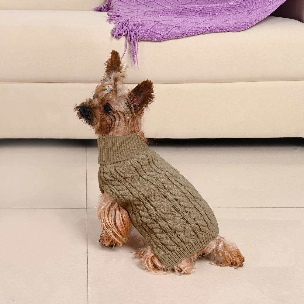 Lorehelina holiday photo setup with dog wearing festive sweater