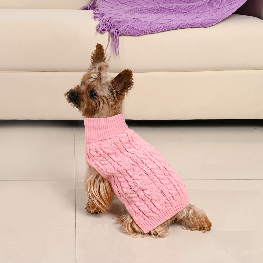 Lorehelina holiday-winter dog model shows festive styling ideas.