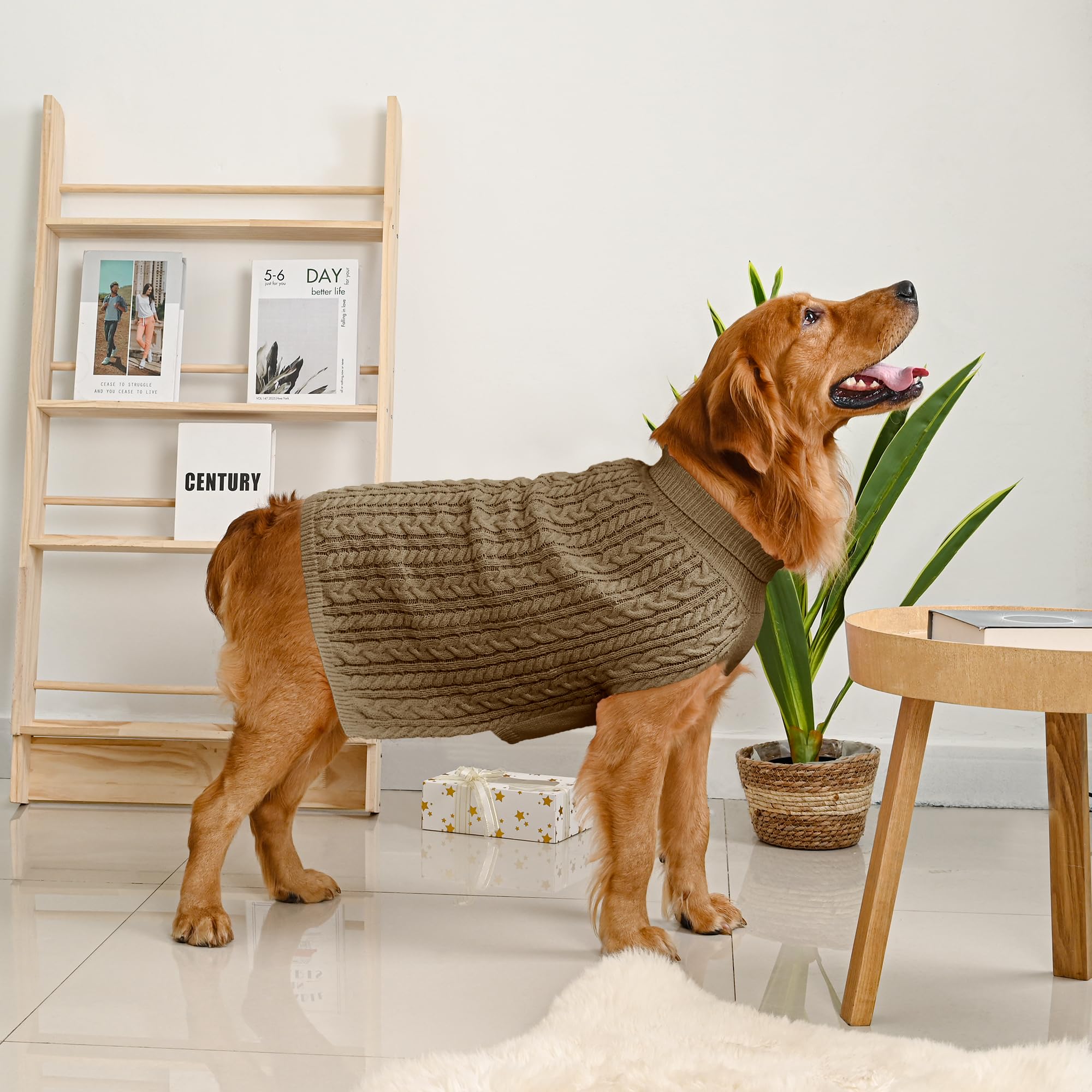 Lorehelina model wearing sweater demonstrates secure turtleneck fit for large breeds