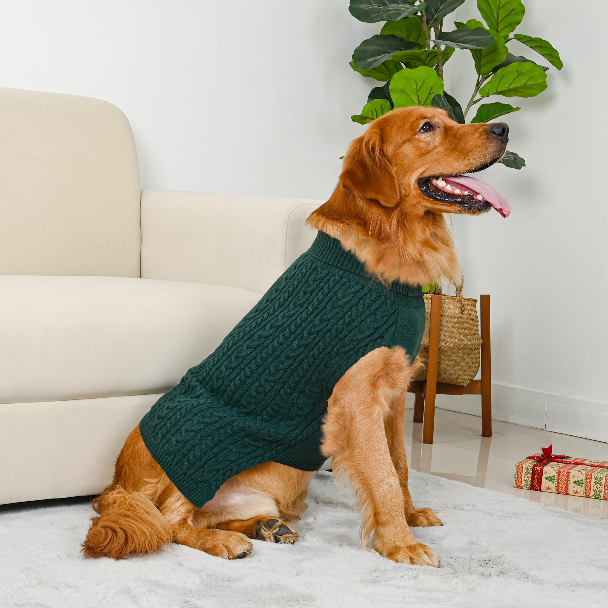 Lorehelina machine washable dog sweater care friendly for busy pet households
