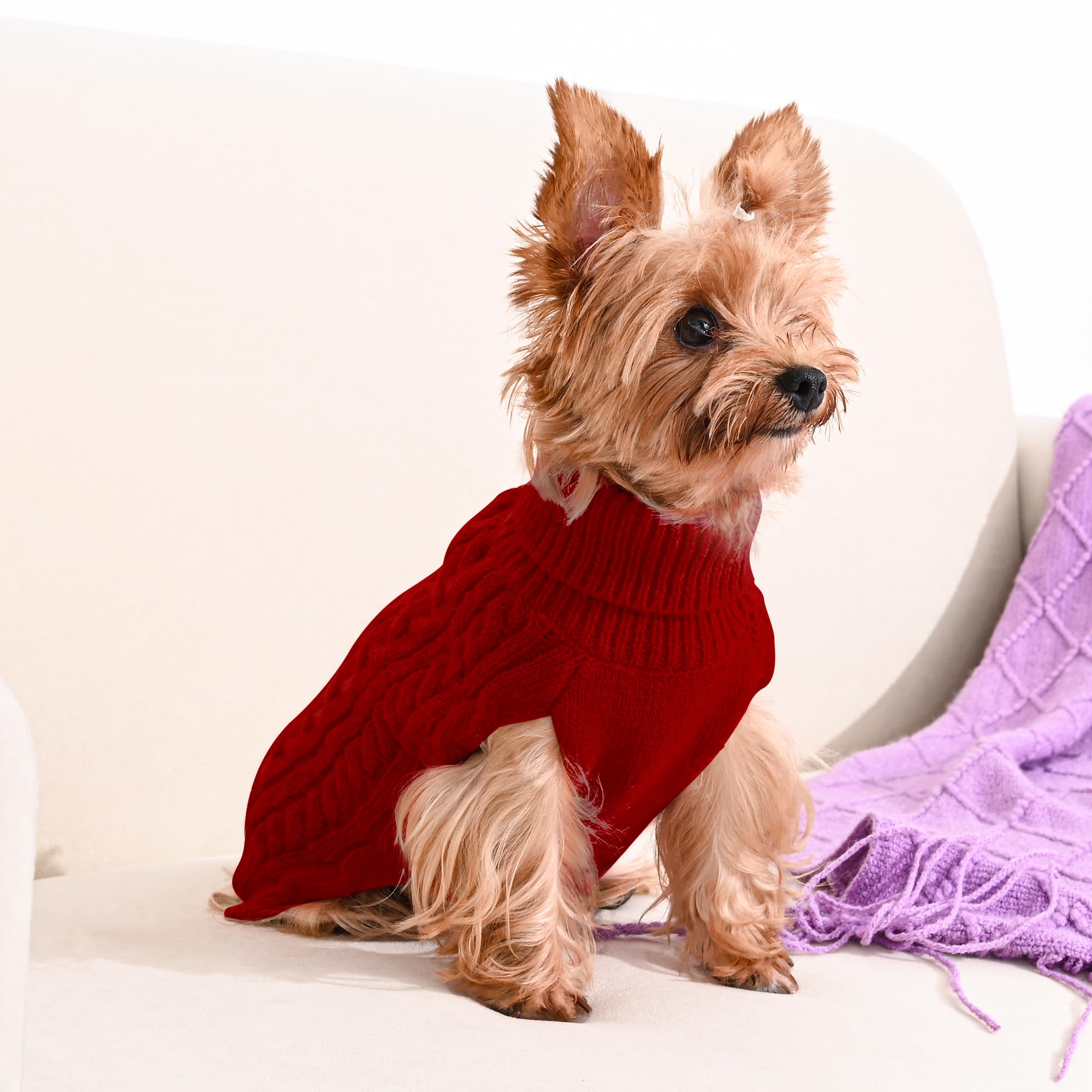Lorehelina size guide chest measurement detail for perfect small-dog fit