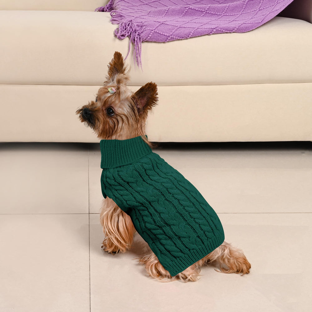 Lorehelina size-guide dog sweater chest measurement visual helps pick the right fit