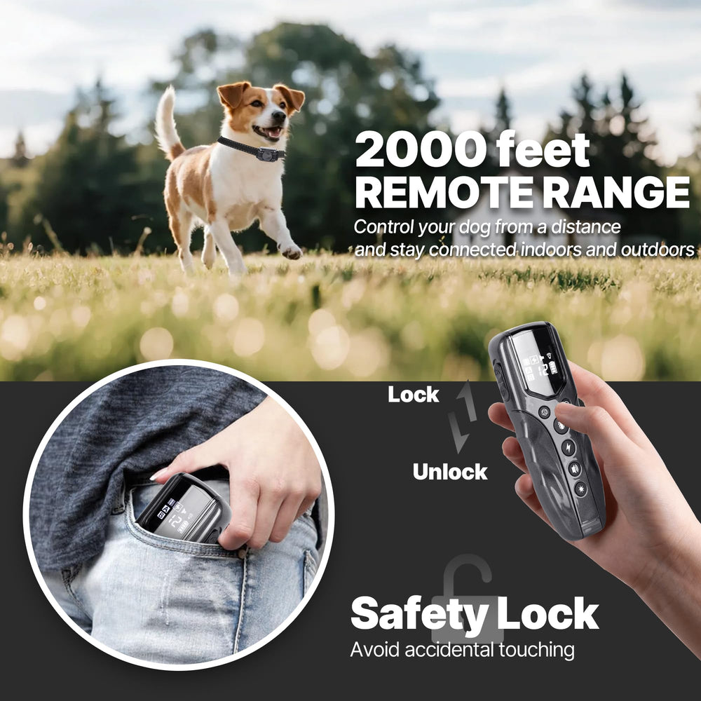 LOSULF IPX7 waterproof collar close-up for all-weather training