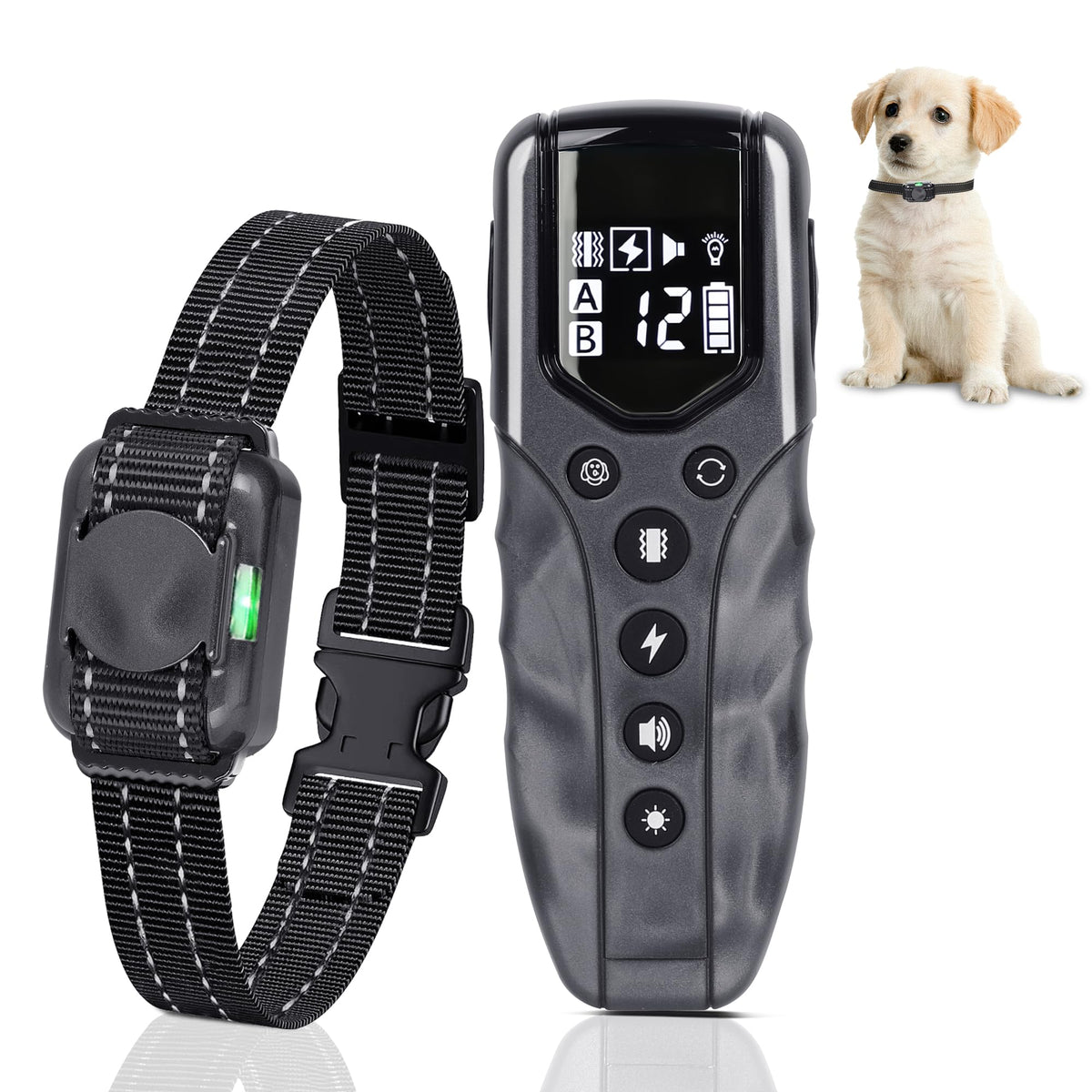 LOSULF receiver close-up on tiny dog collar for gentle training