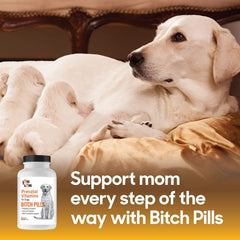 Lots of Love Bitch Pills pregnant dog close-up, highlighting nutrients for expectant pets.