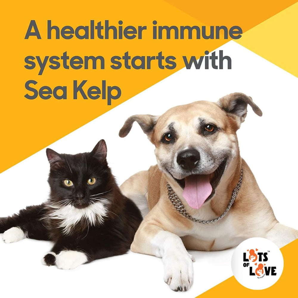 Lots of Love Kelp Powder with dog and cat feeding bowls.