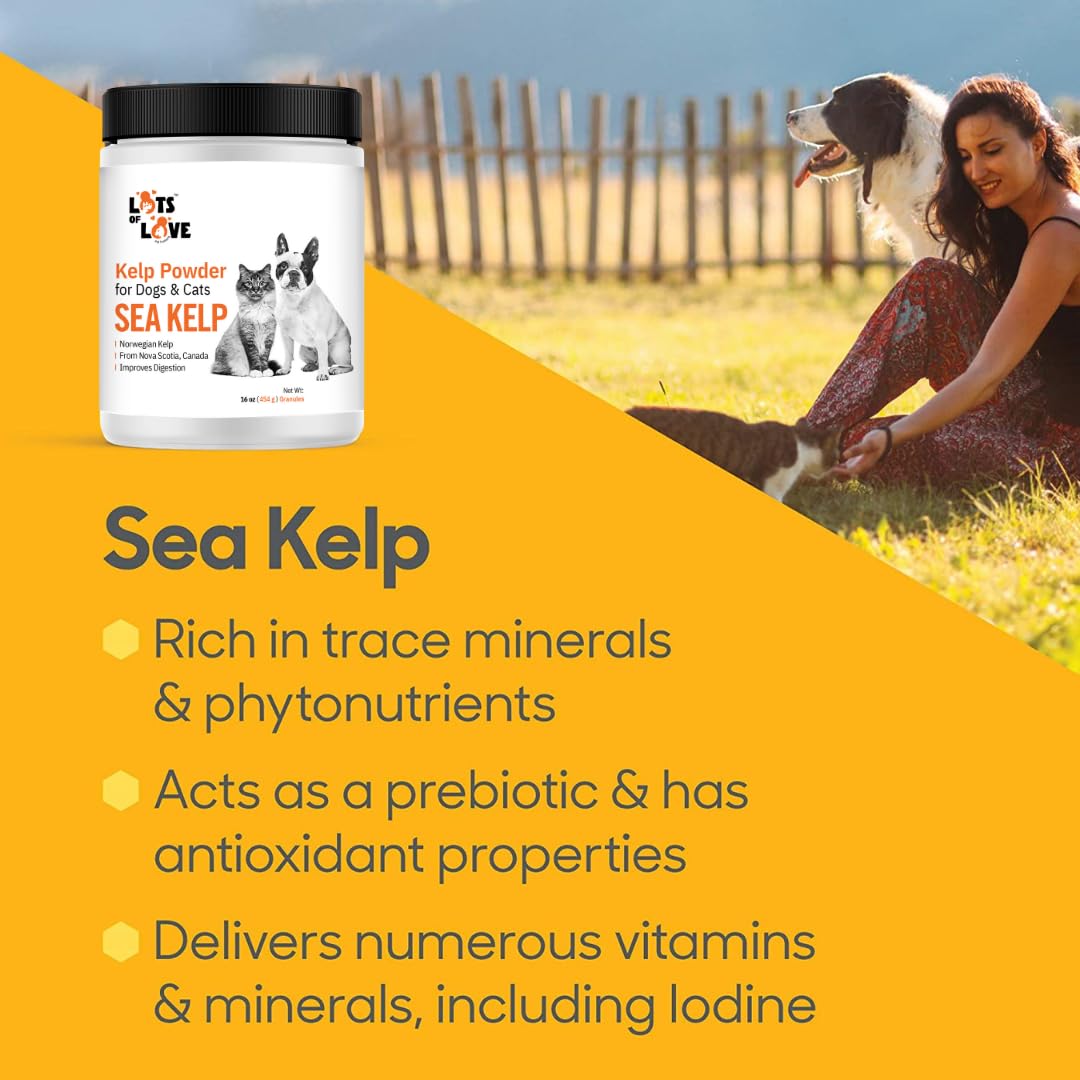 Lots of Love Kelp Powder ingredients label highlights minerals.