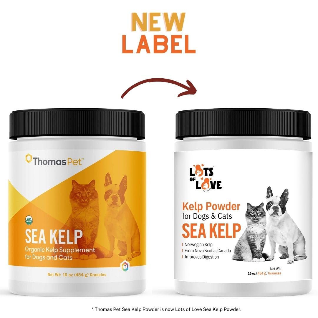 Lots of Love Kelp Powder scoop, easy measure for daily add-ins.