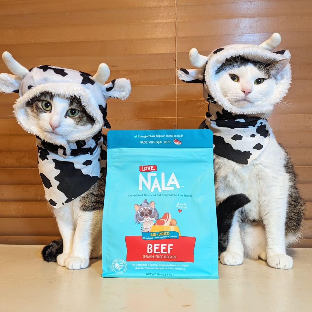 Love NALA beef air-dried cat food ready-to-serve shown for effortless feeding