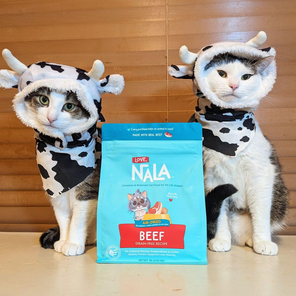 Love NALA beef air-dried cat food ready-to-serve shown for effortless feeding