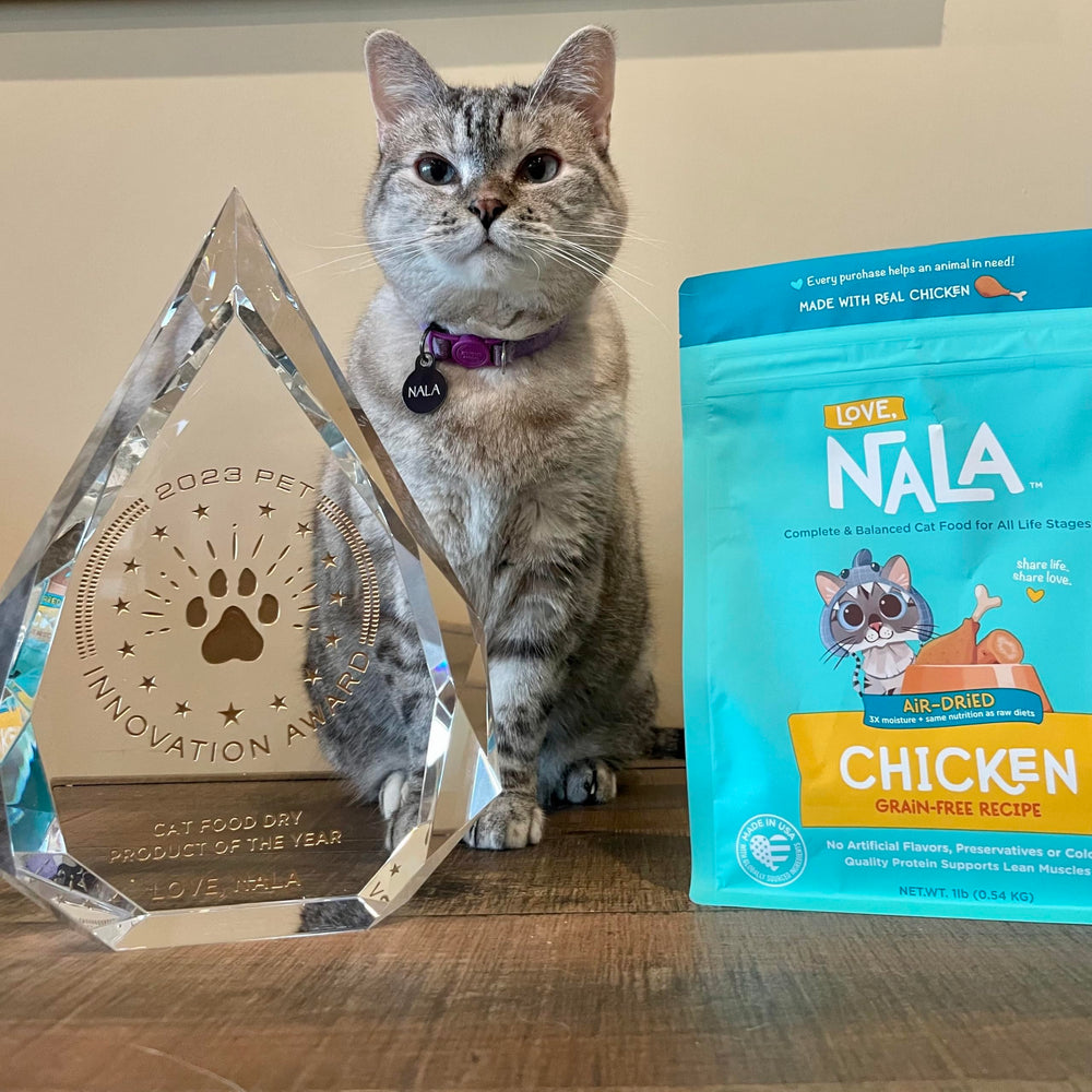 LOVE, NALA cat enjoying meal due to easy-to-digest air-dried formula