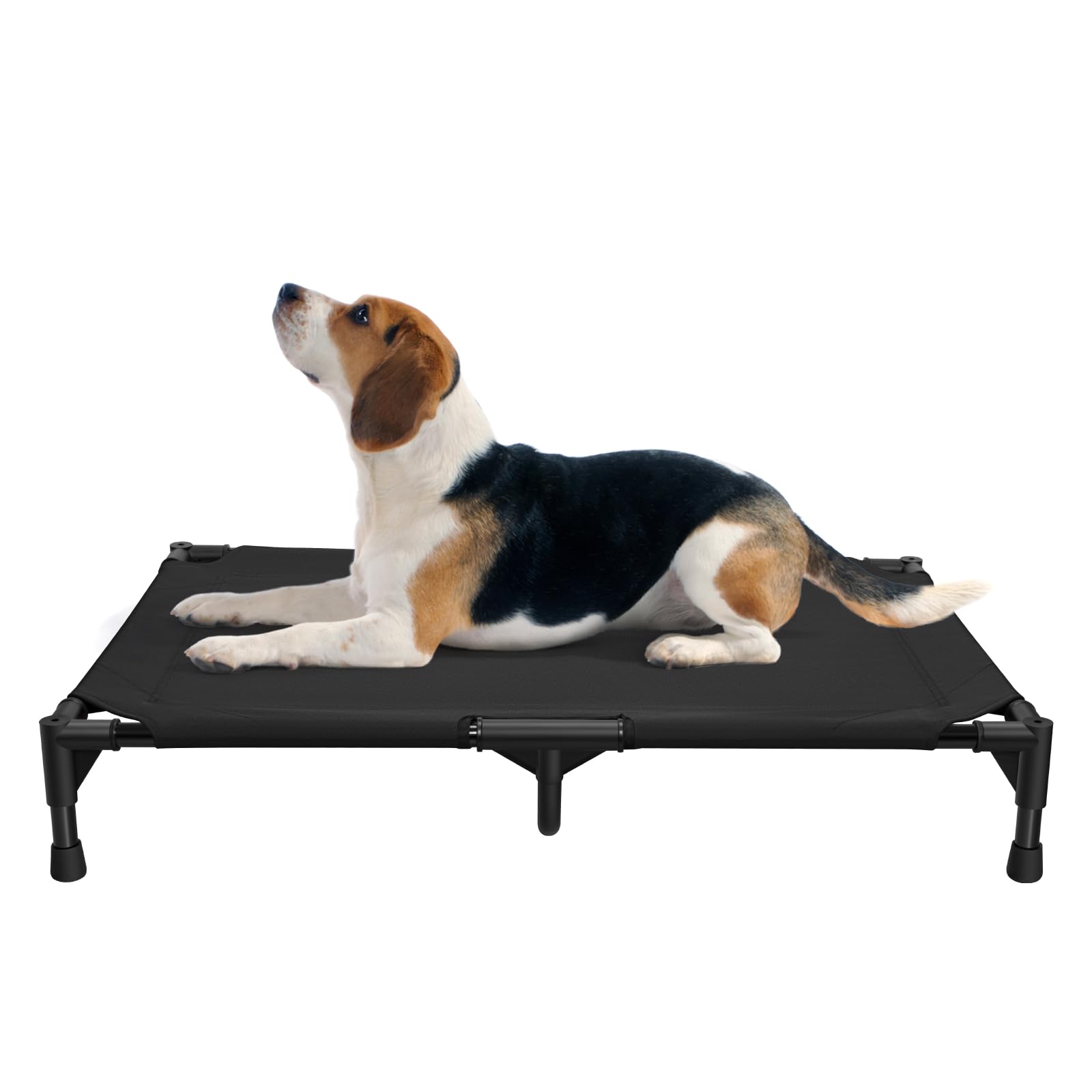 Love&go elevated dog bed with metal frame provides stable support for small and medium dogs.
