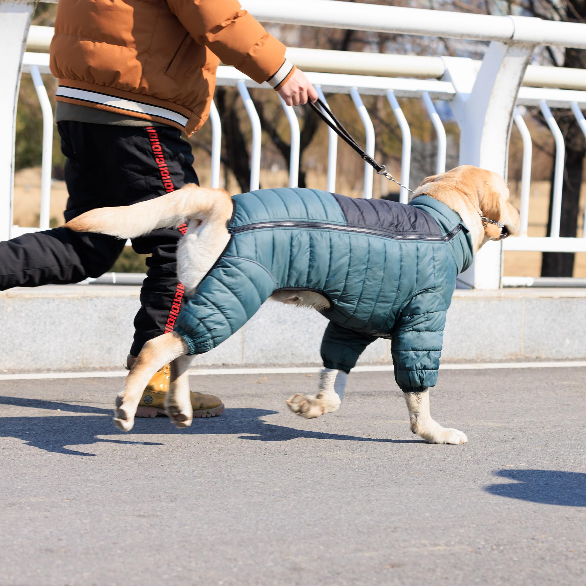 Lovelonglong ArmyGreen Dog Jacket interior cotton padding delivers cozy warmth.