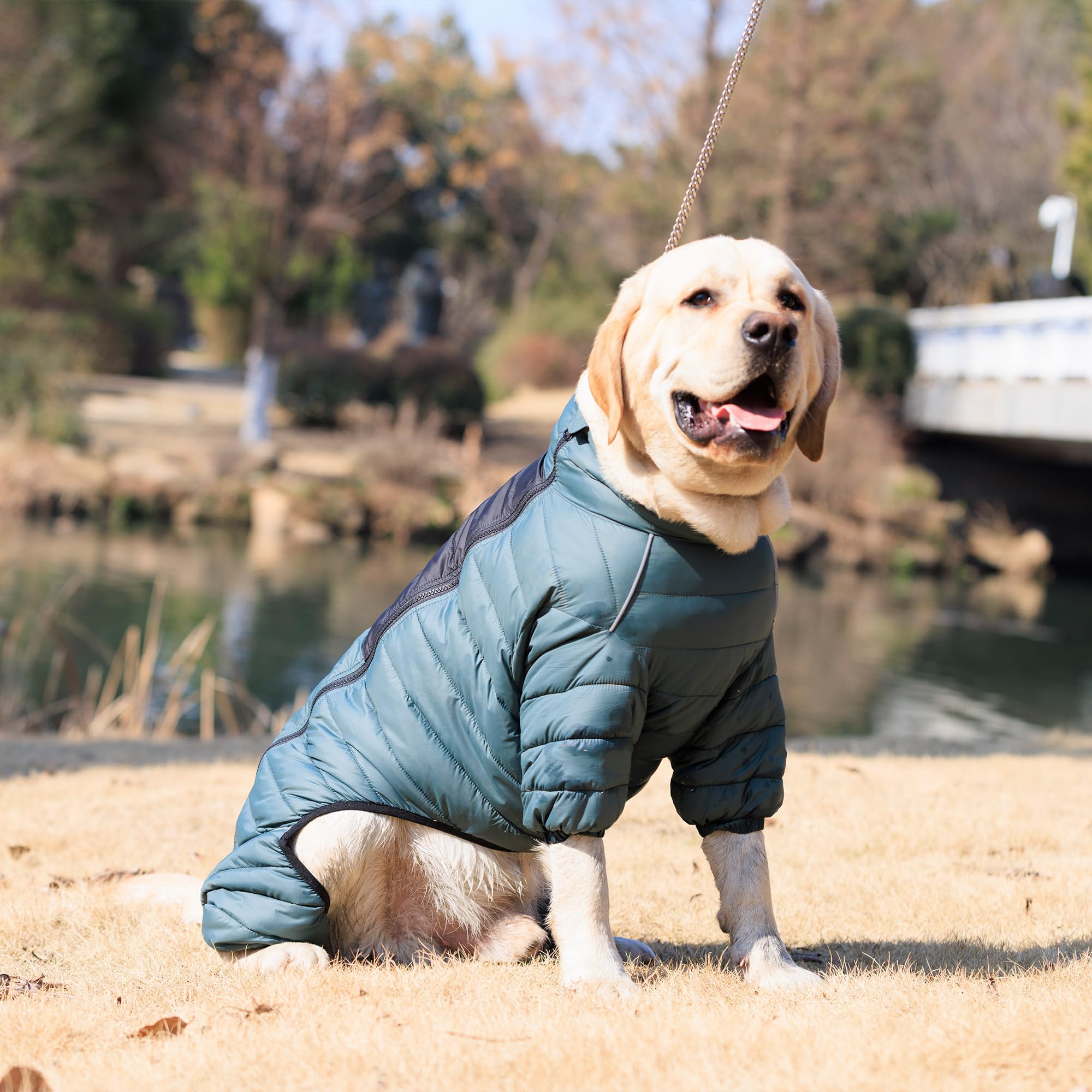 Lovelonglong ArmyGreen Dog Jacket ideal for night walks with enhanced visibility.