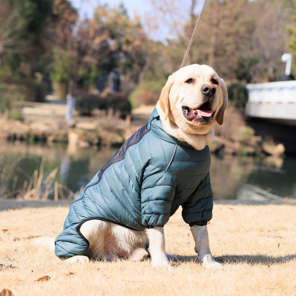 Lovelonglong ArmyGreen Dog Jacket ideal for night walks with enhanced visibility.
