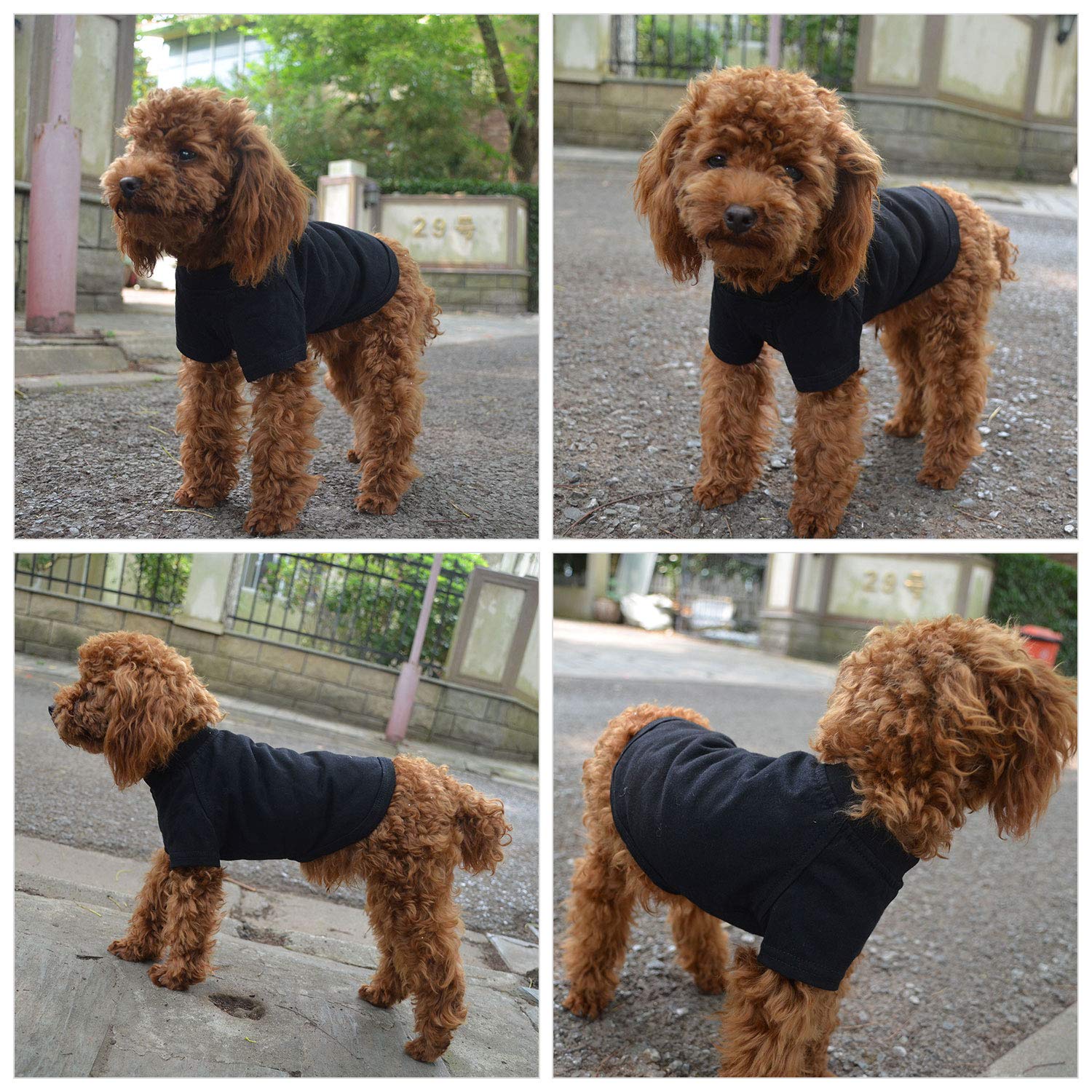 Lovelonglong basic blank T-shirt dog size range illustration shows 17 sizes