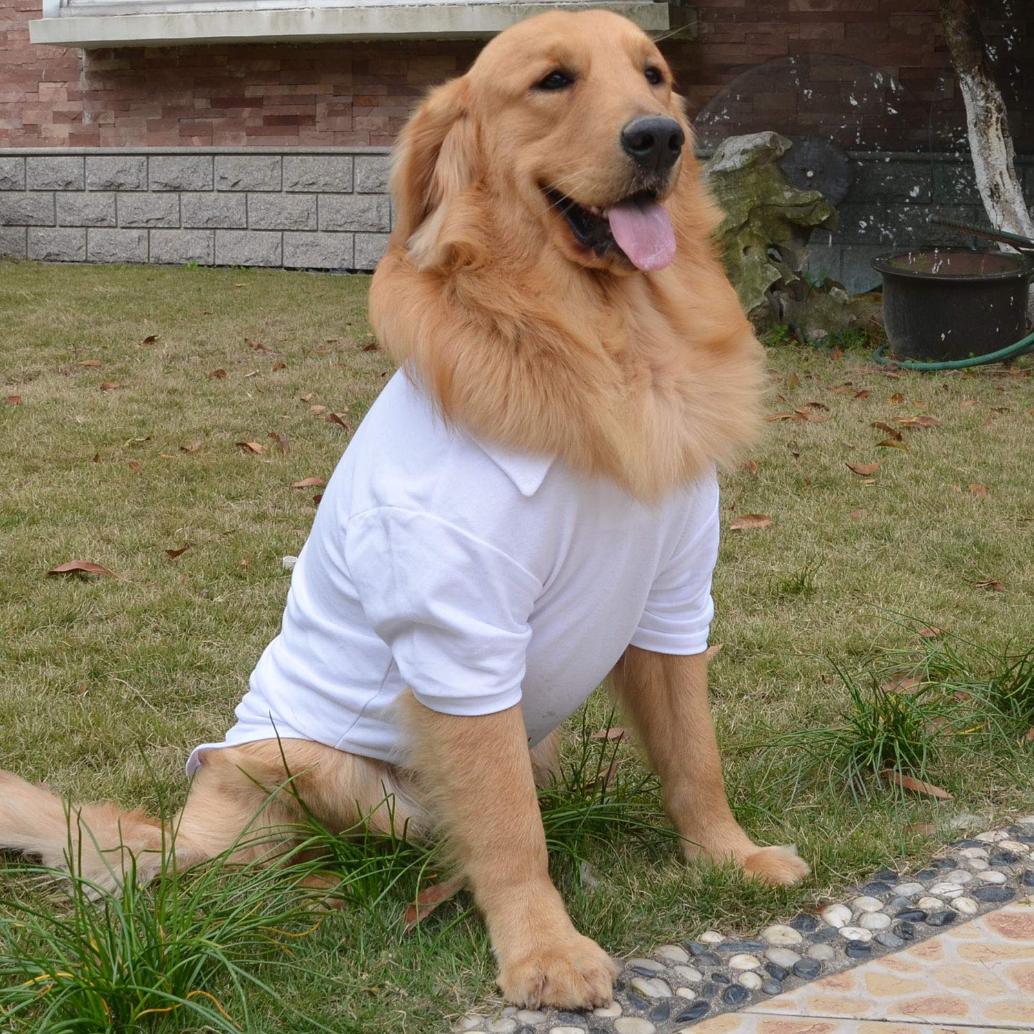 Lovelonglong basic dog polo fabric closeup reveals soft, breathable cotton texture.