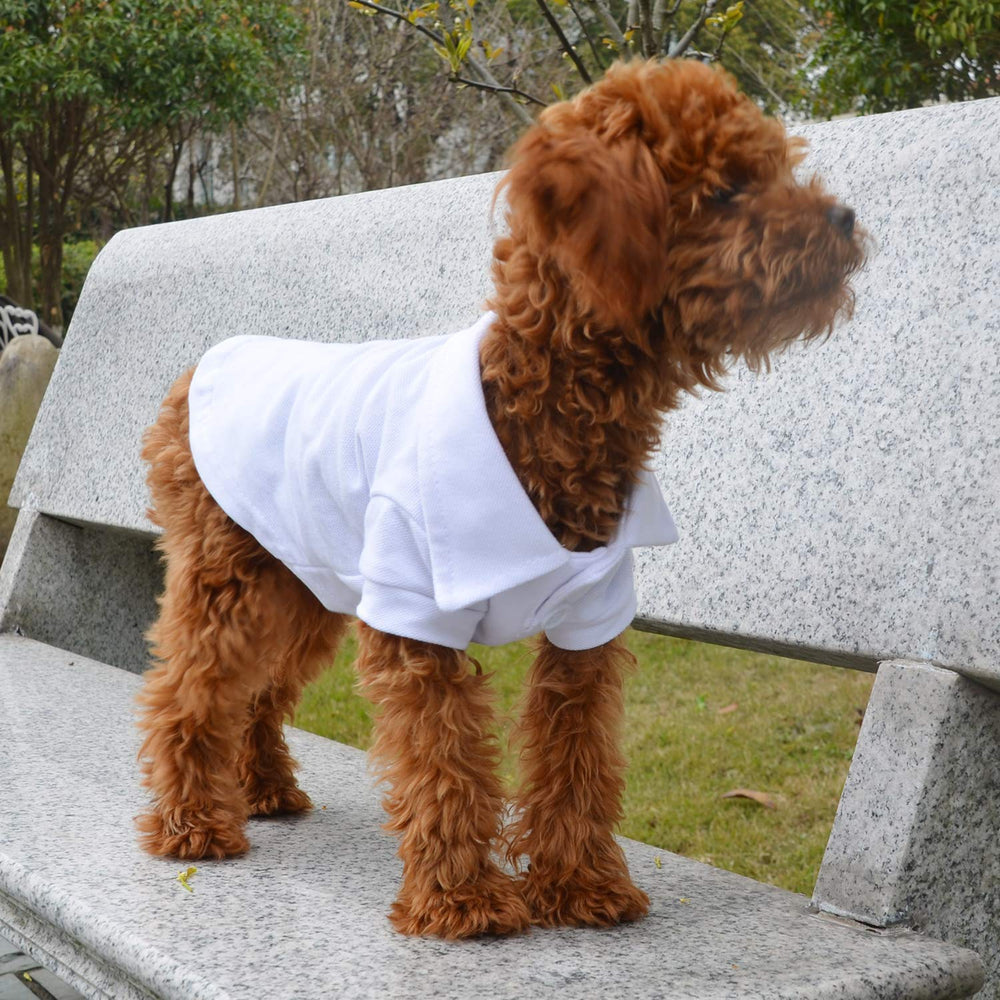 Lovelonglong basic dog polo packaging communicates care and ready-to-wear presentation.