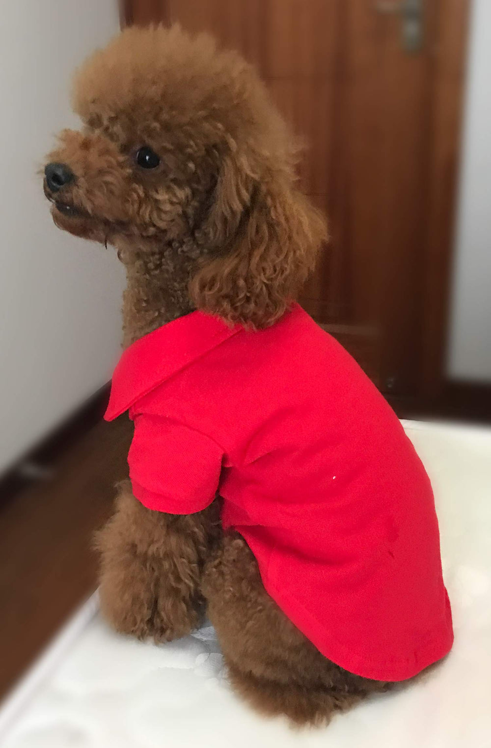 Lovelonglong Basic Dog Polo red XL packaging image reinforces ready-to-ship branding.