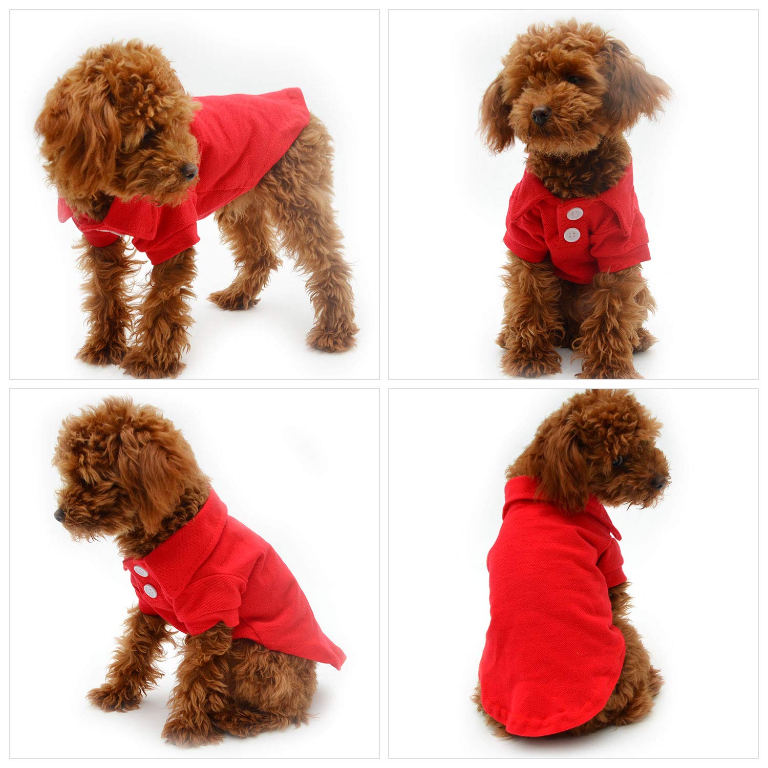 Lovelonglong Basic Dog Polo Red XXL back view features clean lines and polo silhouette.