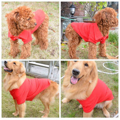Lovelonglong Basic Dog Polo Red XXL collar-detail emphasizes two-button closure.