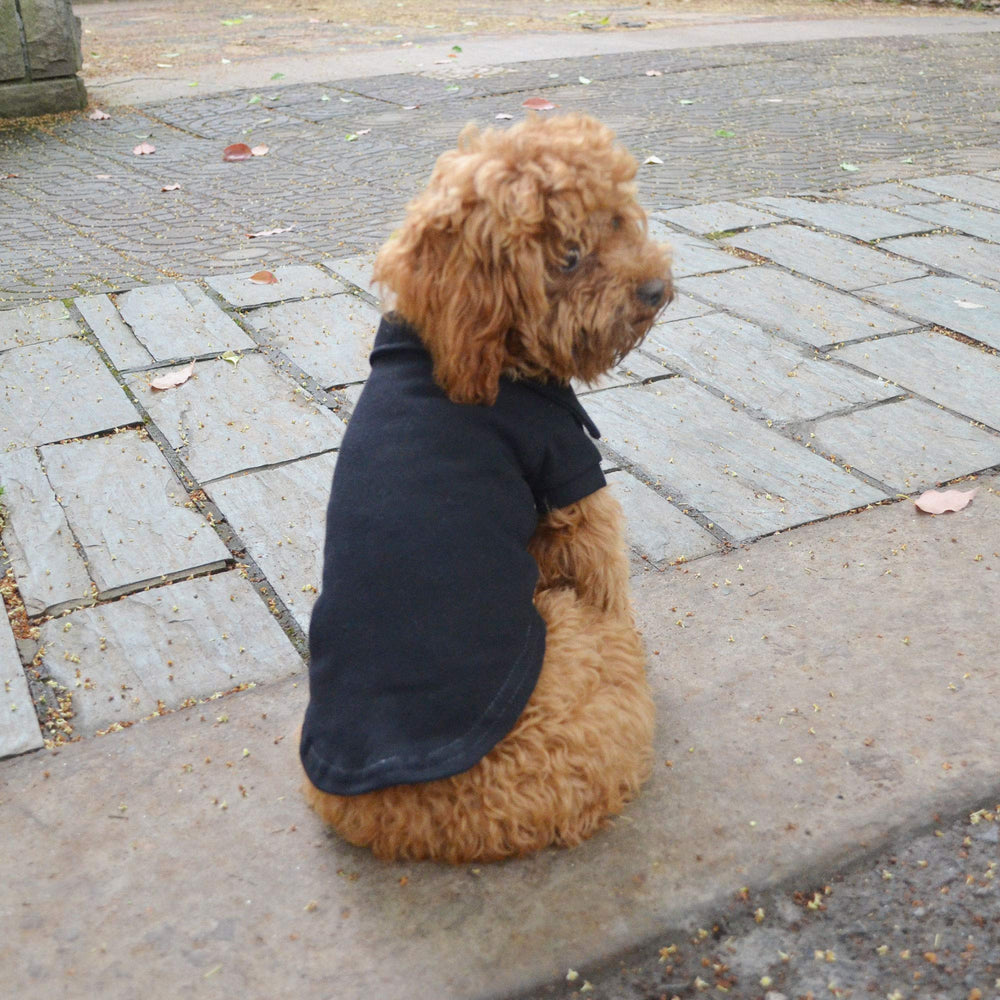 Lovelonglong basic dog polo shirt brand label closeup hints 30-day guarantee.