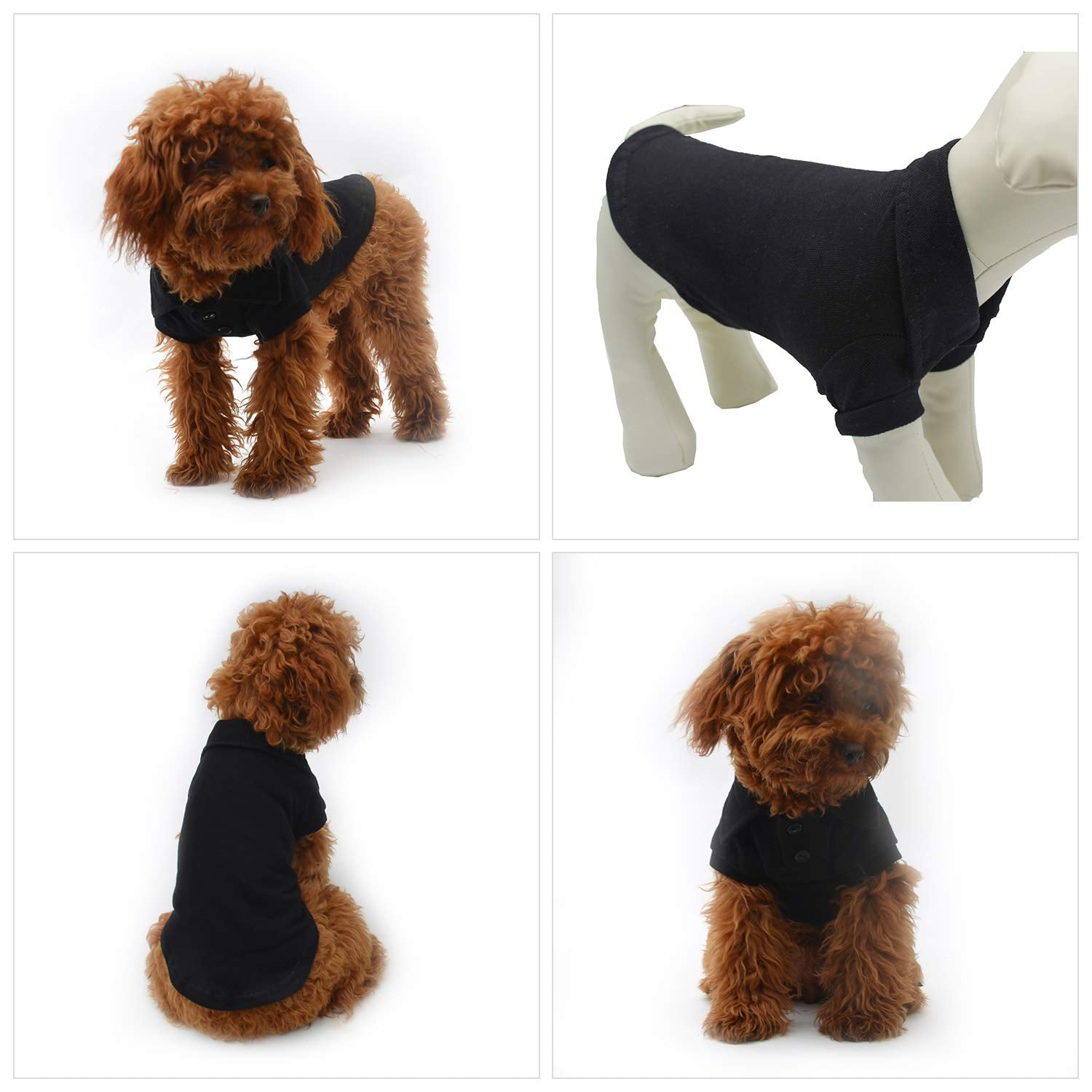 Lovelonglong basic dog polo shirt two-button collar closeup highlights easy fastening.