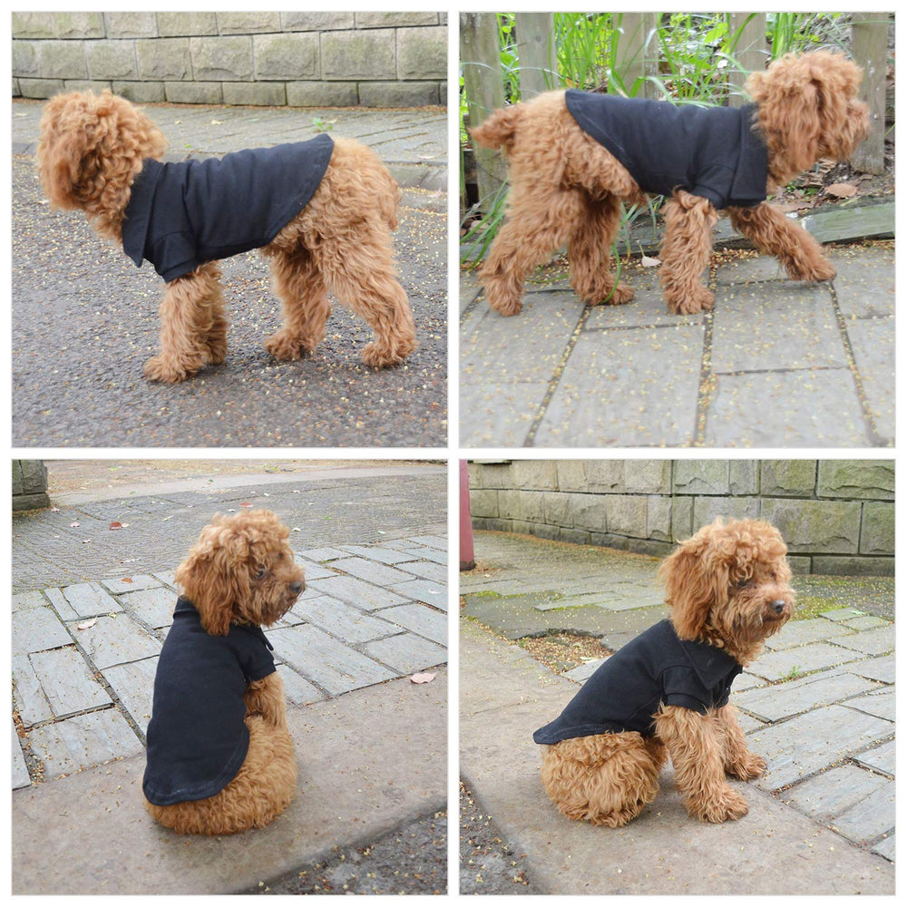Lovelonglong basic dog polo shirt on dog demonstrates comfortable everyday wear.