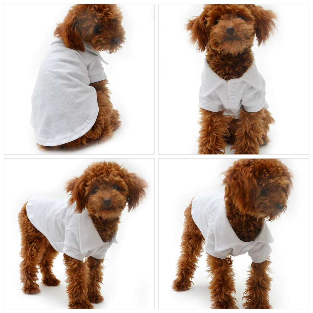 Lovelonglong basic dog polo worn white demonstrates clean, versatile style for daily walks.