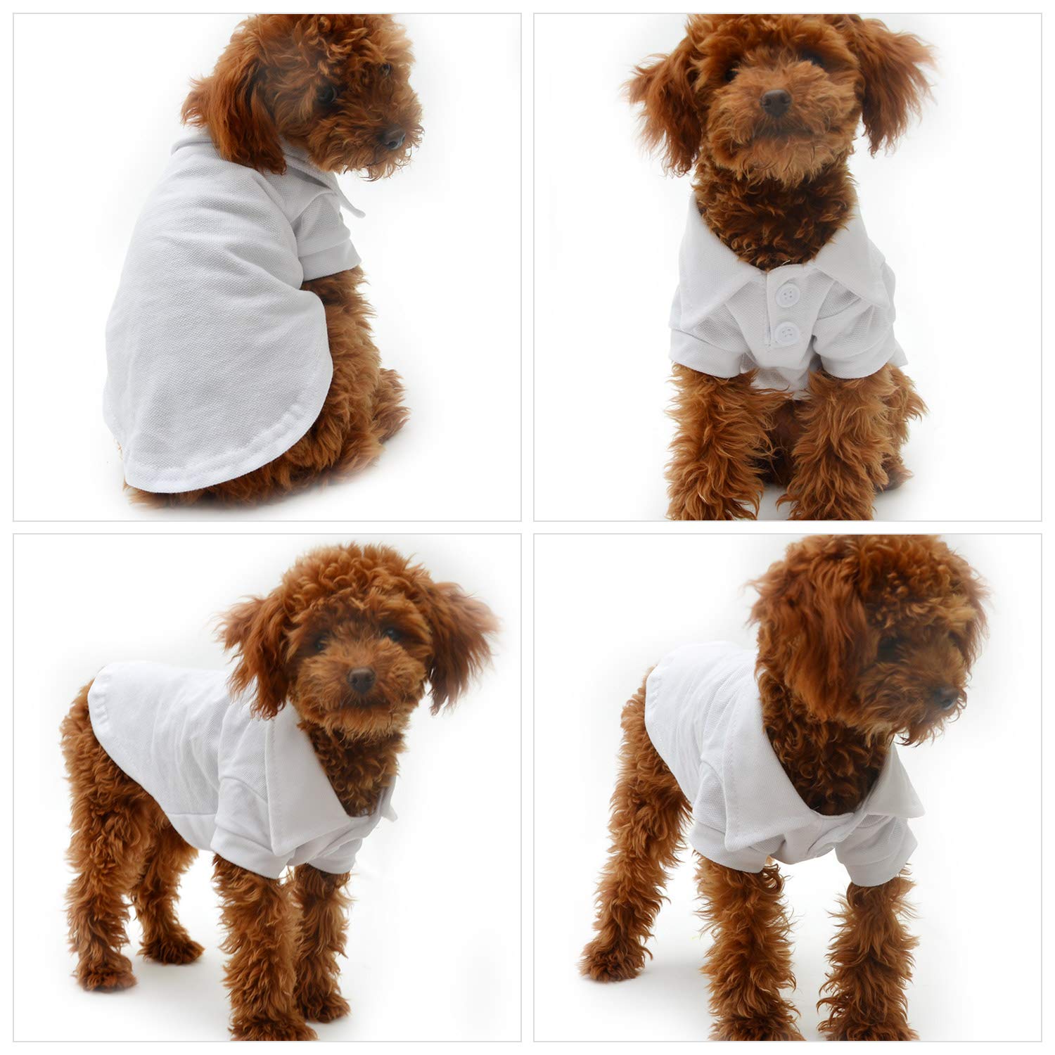 Lovelonglong basic dog polo white back view, classic sporty look