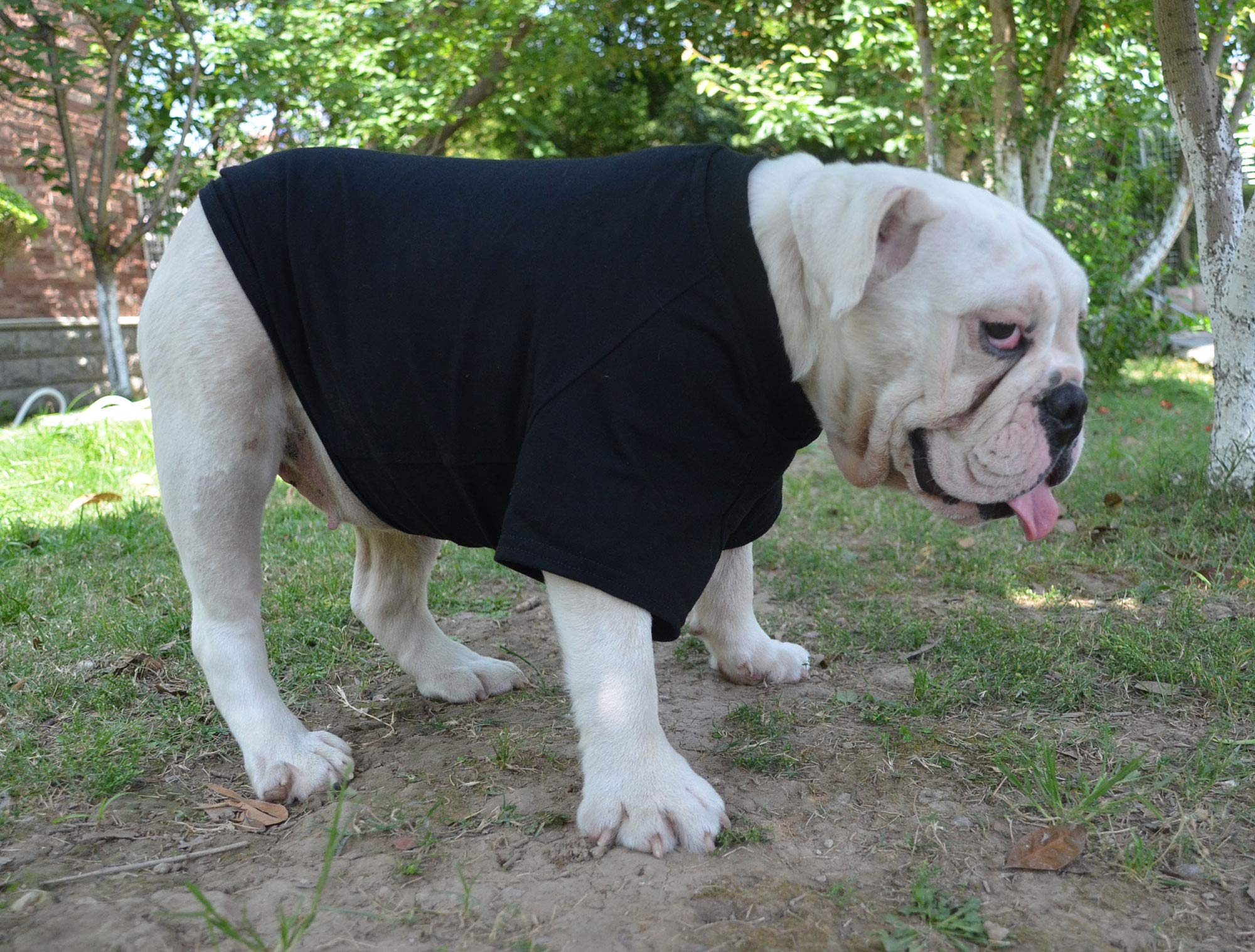 Lovelonglong Bulldog Clothes 18 color options showcase personality