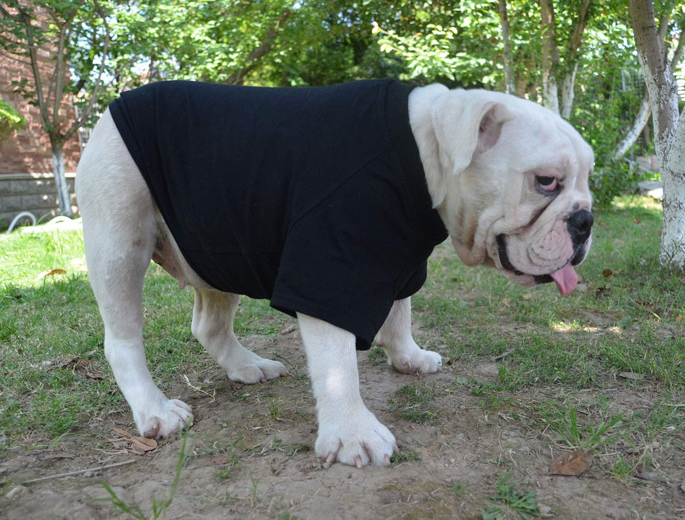 Lovelonglong Bulldog Clothes 18 color options showcase personality