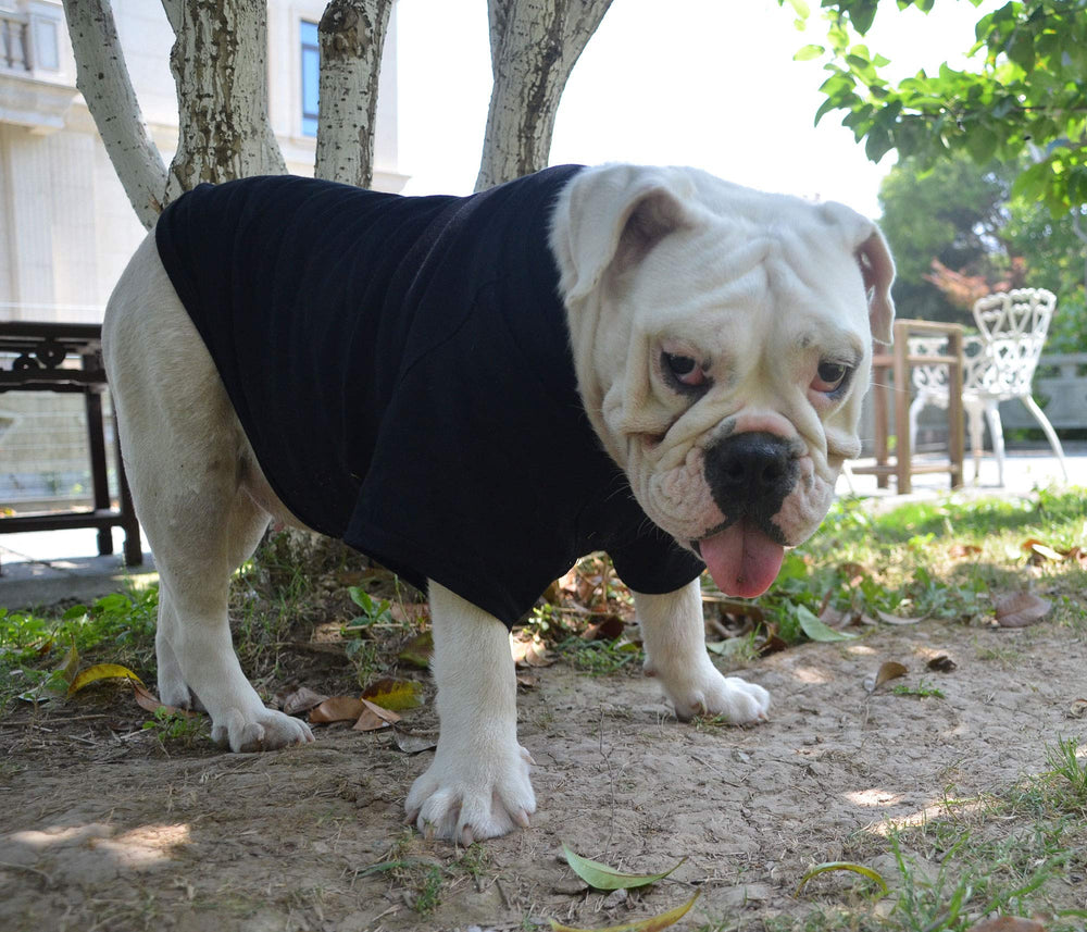 Lovelonglong Bulldog Clothes care wash tips show easy washing