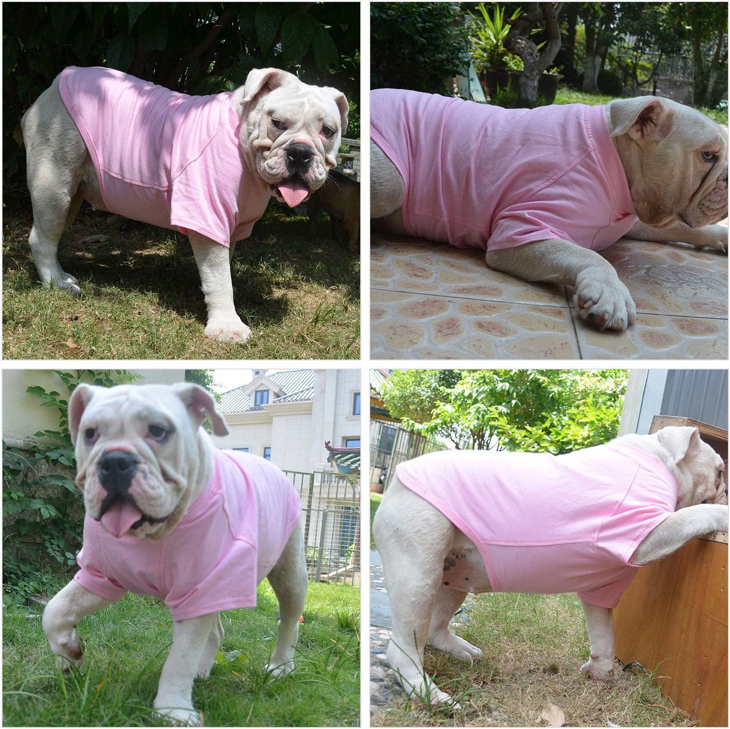 Lovelonglong Bulldog Clothes T-Shirt 18 color options for personalized dog style
