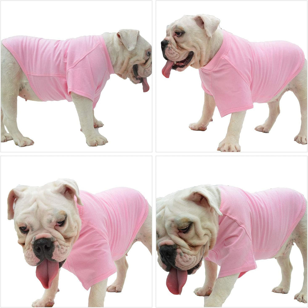Lovelonglong Bulldog Clothes T-Shirt size B-S illustrates fit for small bulldogs