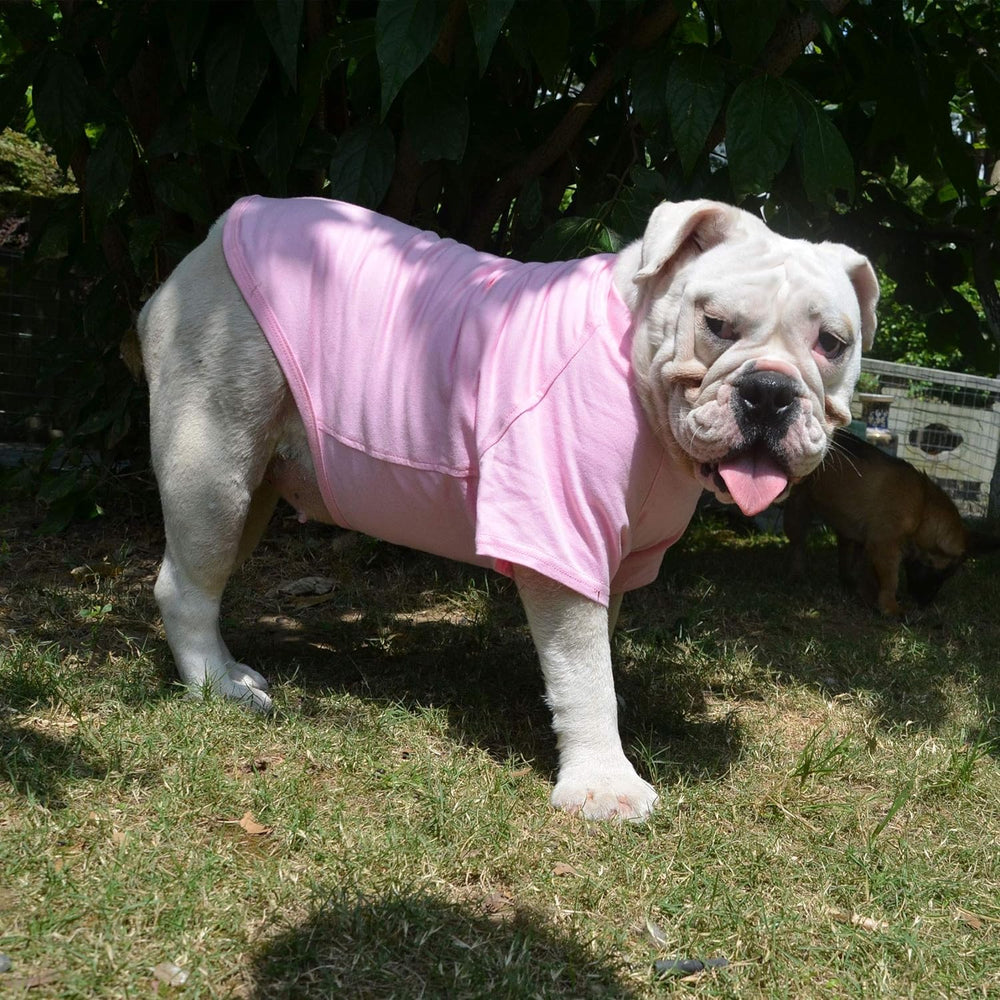 Lovelonglong Bulldog Clothes T-Shirt warm winter option for chilly days