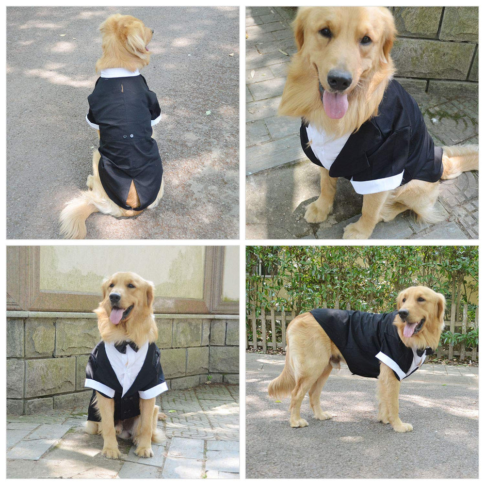 Lovelonglong Bulldog Tuxedo in black color suitable for formal events