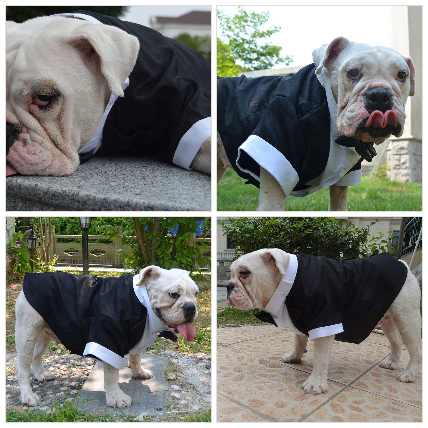Lovelonglong Bulldog Tuxedo belly cut detail for comfort