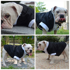 Lovelonglong Bulldog Tuxedo belly cut detail for comfort